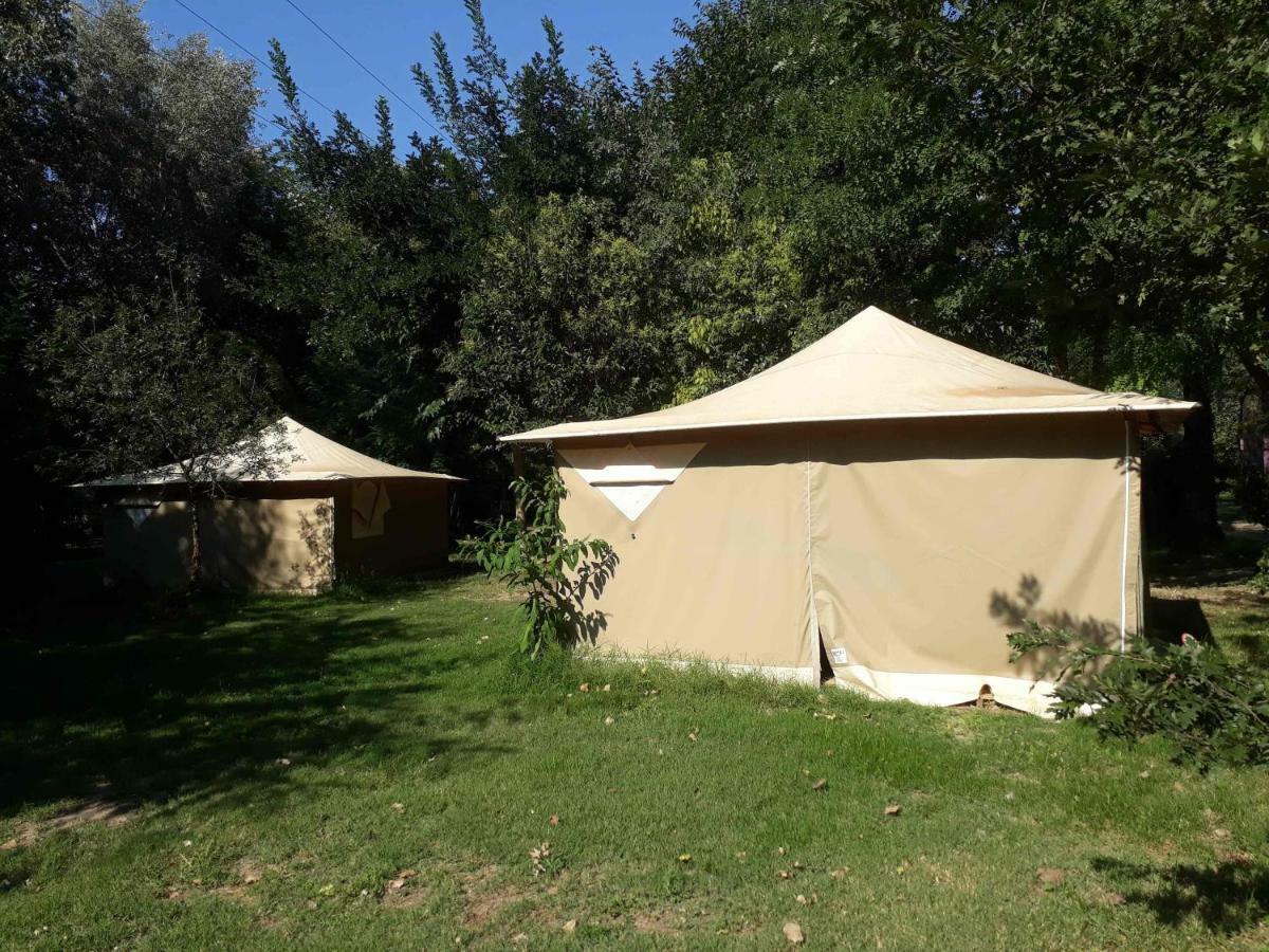 Camping Paradis Bellerive Montfrin Екстериор снимка